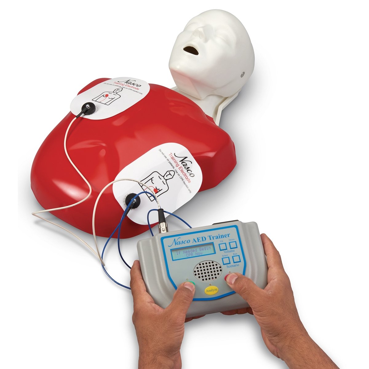 CPR Training Manikin 3
